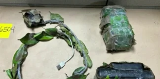 주택털이 절도단, 몰카로 범행 대상 노린다