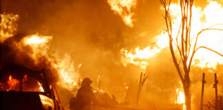 캘리포니아 산불 LA 규모 태워…加재스퍼 100년만에 최대 피해